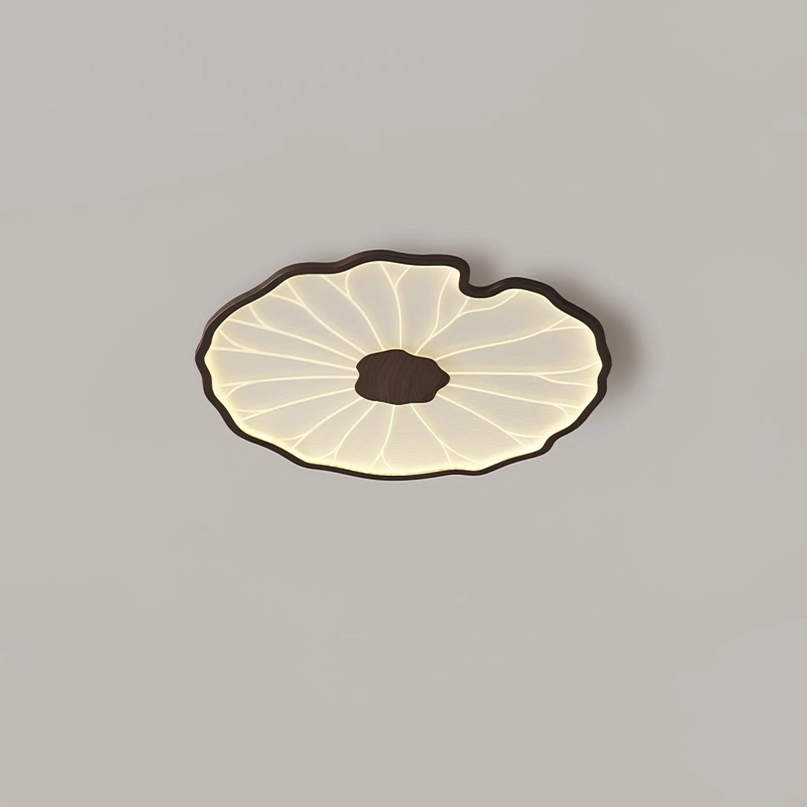 Avinar – Bladvormige Plafondlamp - Image 2