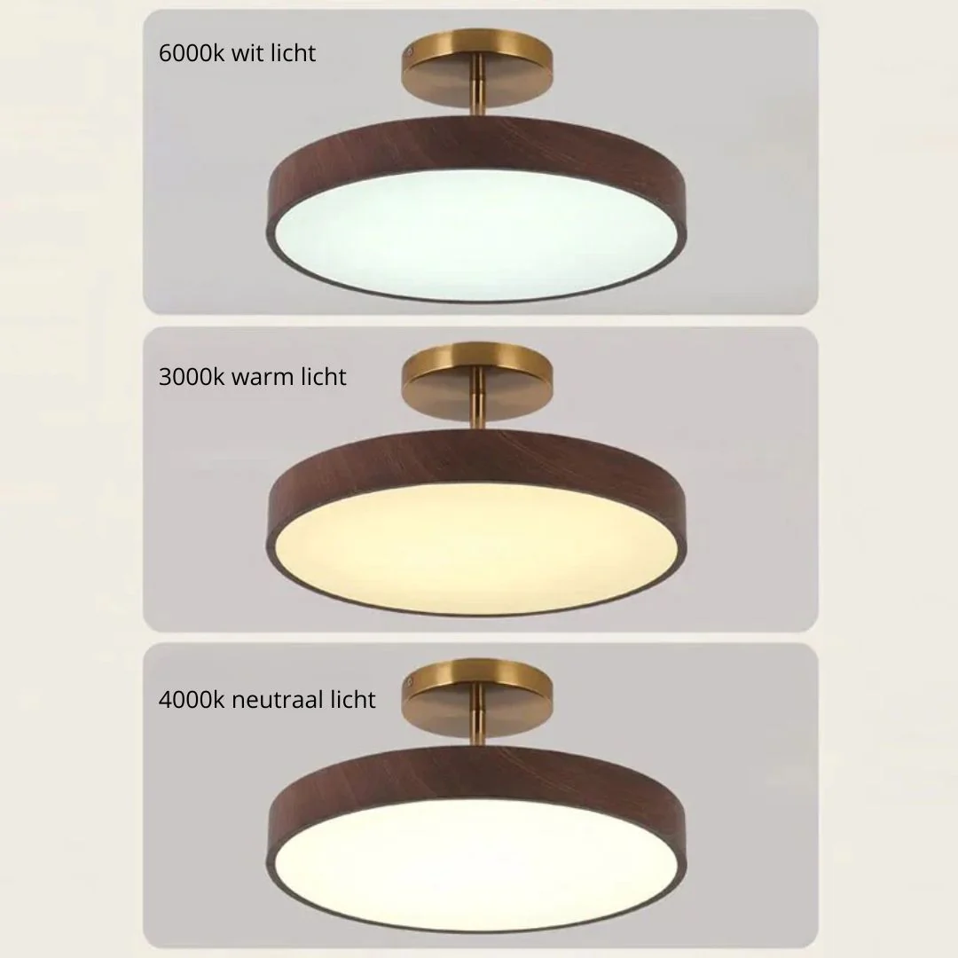 Sinton – Plafondlamp - Image 14