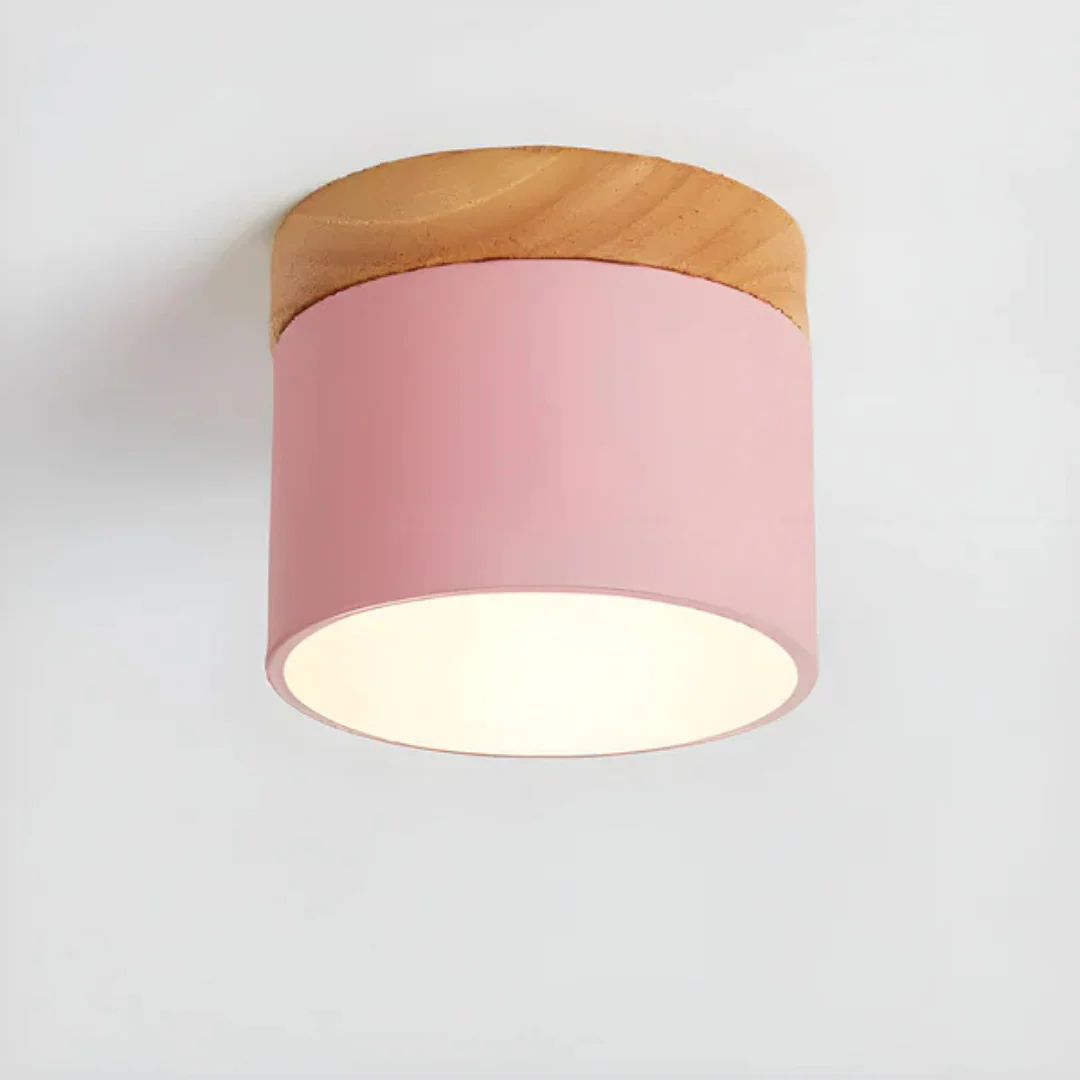 Vesta - Vintage LED Plafondlamp - Image 11