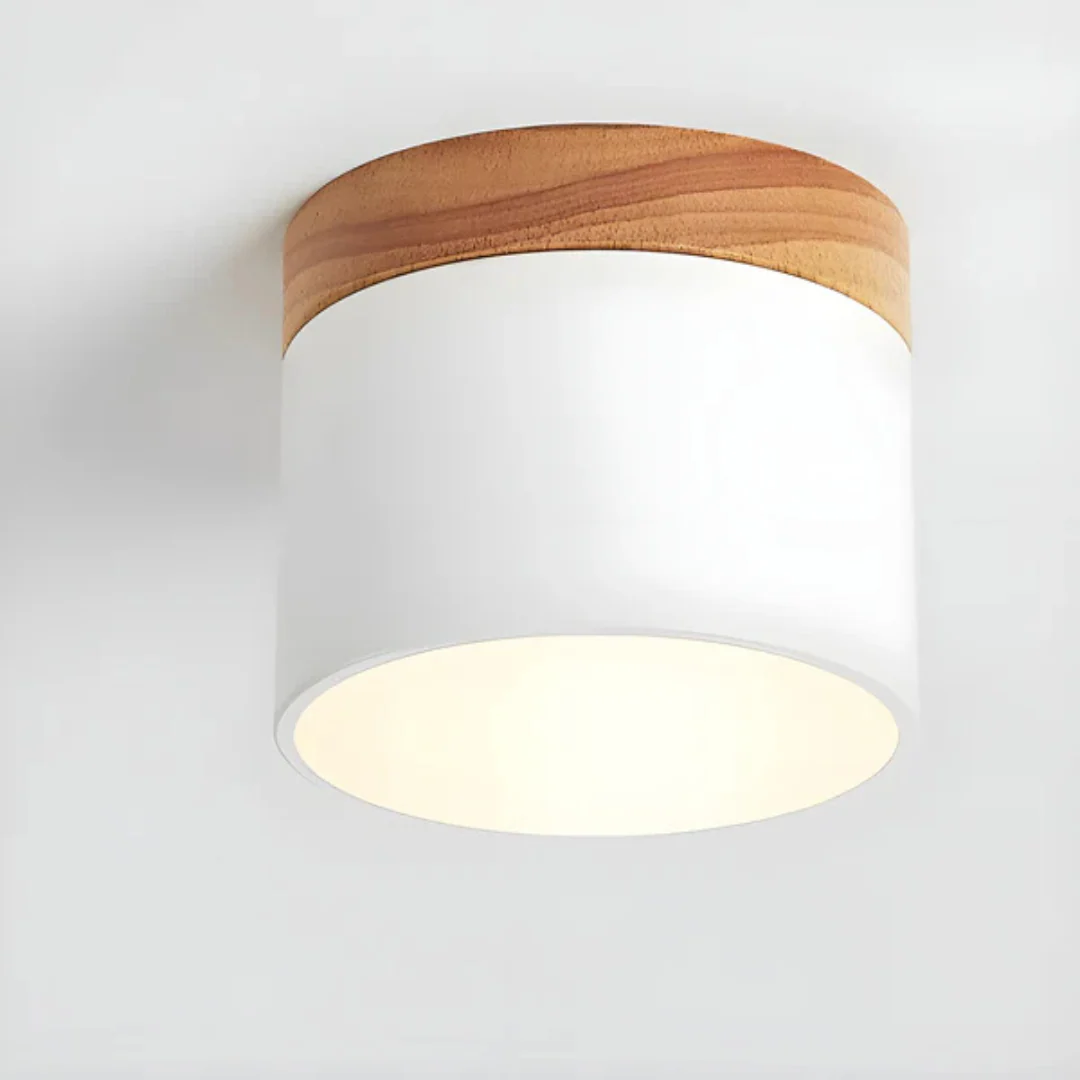 Vesta - Vintage LED Plafondlamp - Image 12
