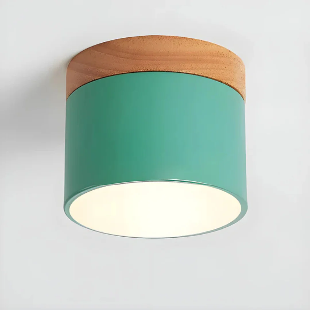 Vesta - Vintage LED Plafondlamp - Image 9